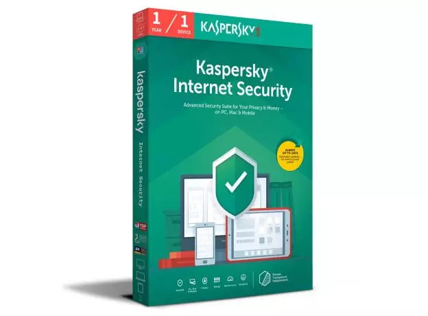 kaspersky Dragon Professional Individual v15