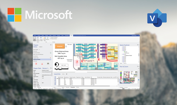 difference between visio professional and standard 2019