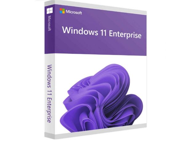 Windows 11 IoT Enterprise
