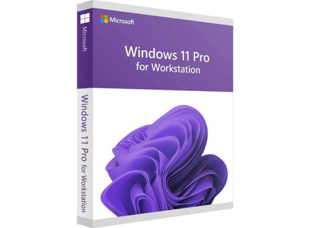 Windows 11 Pro for Workstation