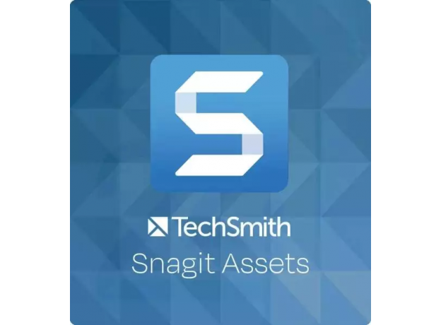 TechSmith Snagit Assets,  Runtime: 1 Year, Users: 1-4 Users, image 